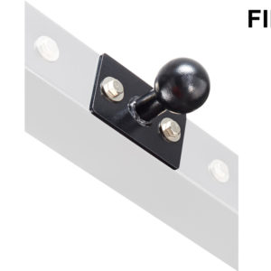 FIB1