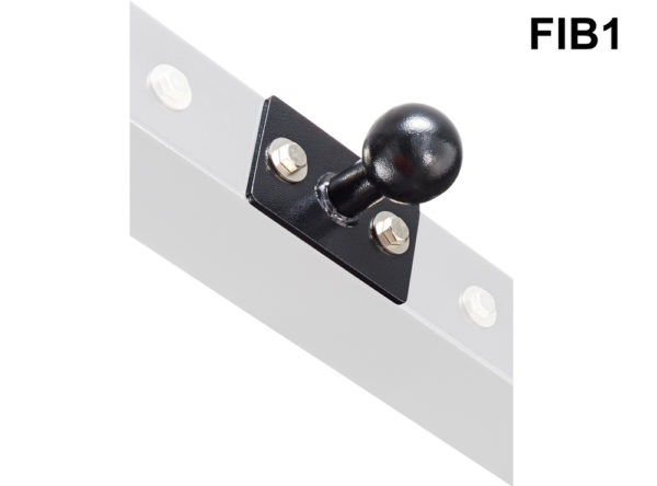 FIB1