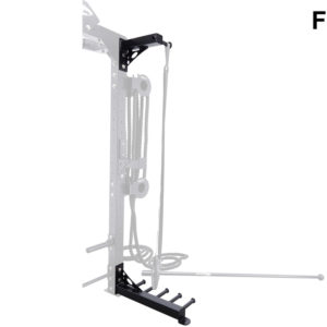 FSR1