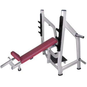 FW 1002 Olympic Decline Bench